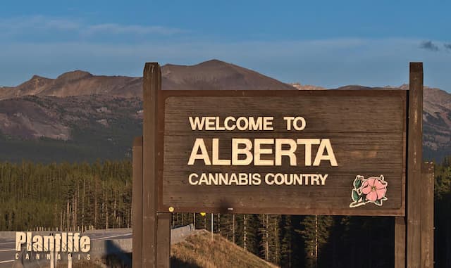 Favourite Cannabis Consumption Spots In Alberta